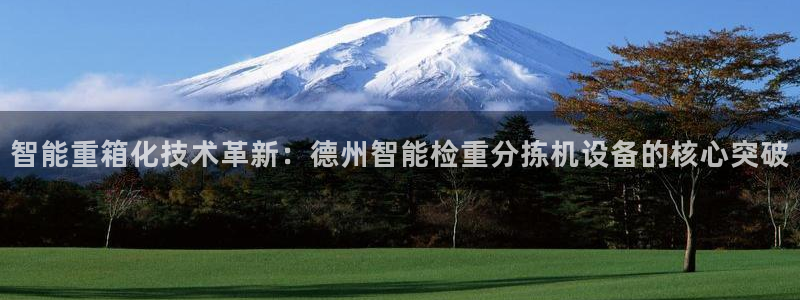 顺盈娱乐主管监判官333OO