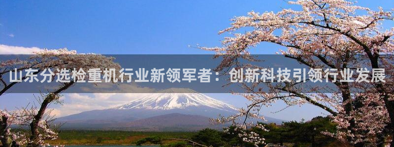 顺盈娱乐代理怎么样了：山东分选检重机行业新领军者：创新科技引