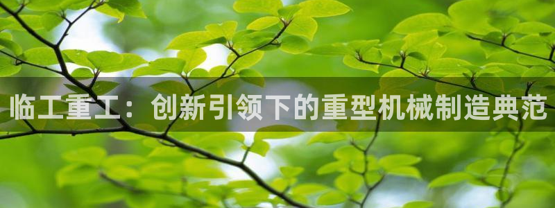 顺盈娱乐在线开户怎么样：临工重工：创新引领下的重型机械制造典