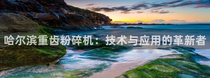 顺盈娱乐队究7276O：哈尔滨重齿粉碎机：技术与应用的革新者