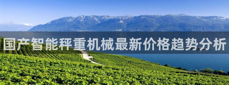 顺盈娱乐公司介绍：国产智能秤重机械最新价格趋势分析