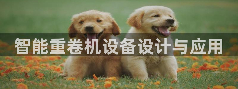 顺盈娱乐平台最新活动：智能重卷机设备设计与应用