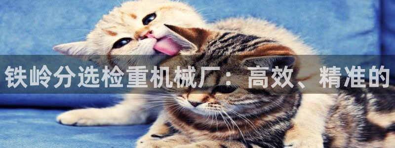 顺盈娱乐主管审判官333OO：铁岭分选检重机械厂：高效、精准