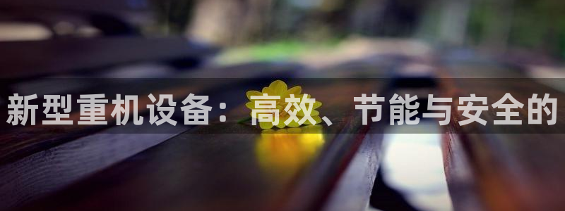 顺盈娱乐招商部听判官333OO