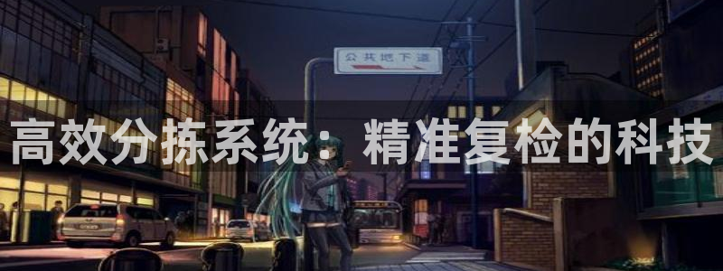 顺盈娱乐主管：高效分拣系统：精准复检的科技