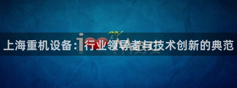 盈顺棋牌娱乐室：上海重机设备：行业领导者与技术创新的典范