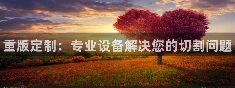 清远顺盈娱乐公司