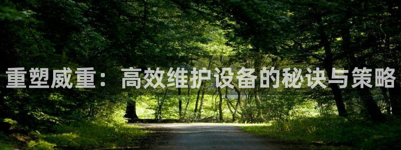 顺盈娱乐是天系列平台：重塑威重：高效维护设备的秘诀与策略