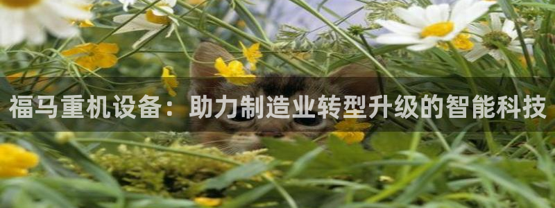 顺盈娱乐件究7276O：福马重机设备：助力制造业转型升级的智