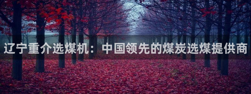 顺盈娱乐975949：辽宁重介选煤机：中国领先的煤炭选煤提供