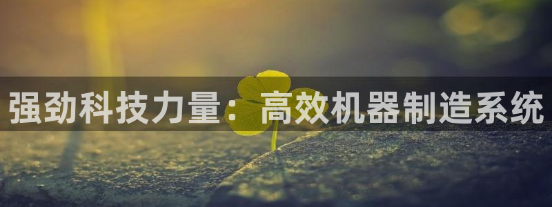 顺盈娱乐下载最新版