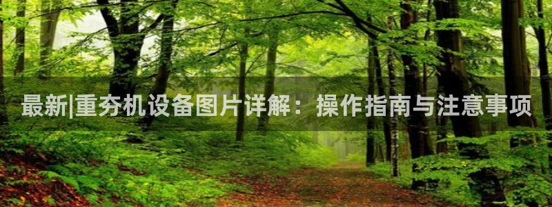 顺盈娱乐28是什么意思