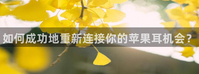 顺盈2娱乐主管是谁