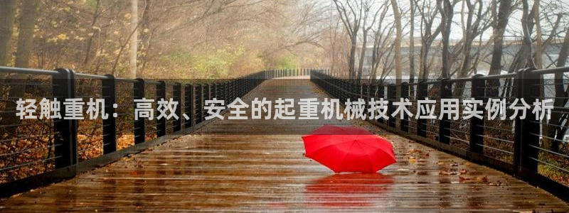 顺盈娱乐件究7276O