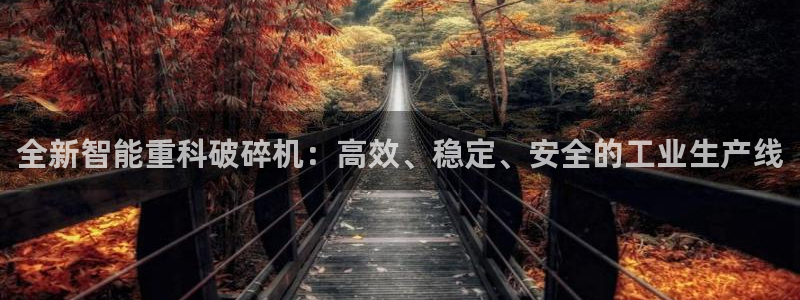 顺盈娱乐qv87555