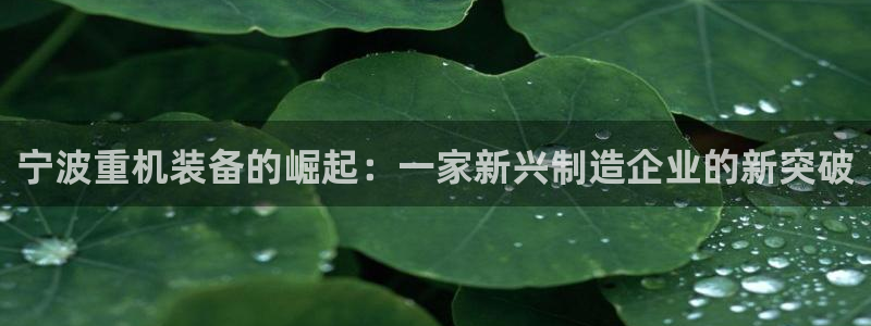 顺盈娱乐如拔7276O：宁波重机装备的崛起：一家新兴制造企业