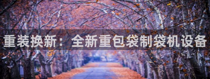 乐摇摇娱乐团购顺盈：重装换新：全新重包袋制袋机设备