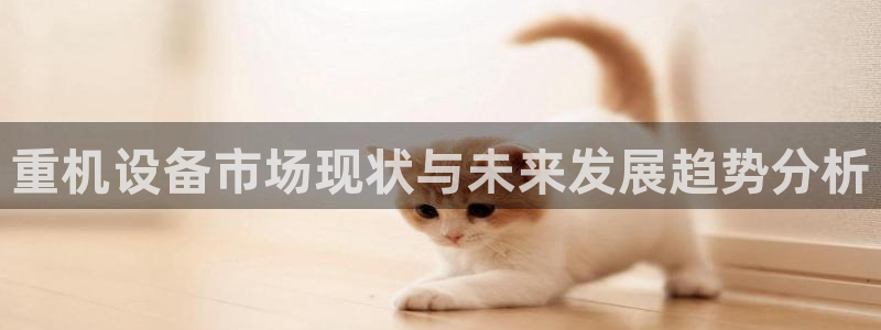顺盈2娱乐找qv382223：重机设备市场现状与未来发展趋势