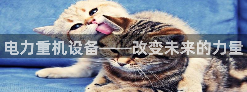 清远顺盈娱乐酒店推荐：电力重机设备——改变未来的力量