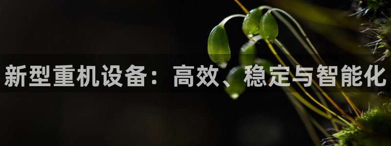 顺盈平台娱乐怎么样啊：新型重机设备：高效、稳定与智能化
