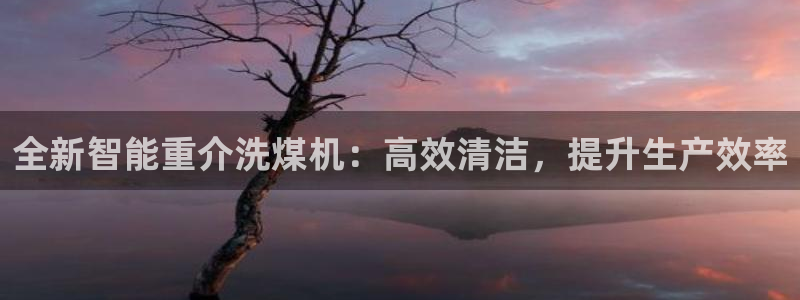 顺盈娱乐主管面试：全新智能重介洗煤机：高效清洁，提升生产效率