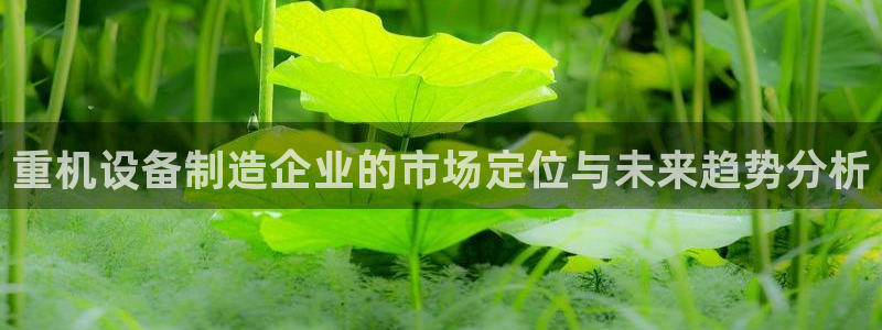 顺盈广场娱乐会所地址：重机设备制造企业的市场定位与未来趋势分