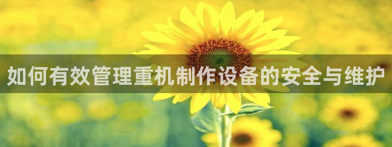 顺盈娱乐彩票：如何有效管理重机制作设备的安全与维护