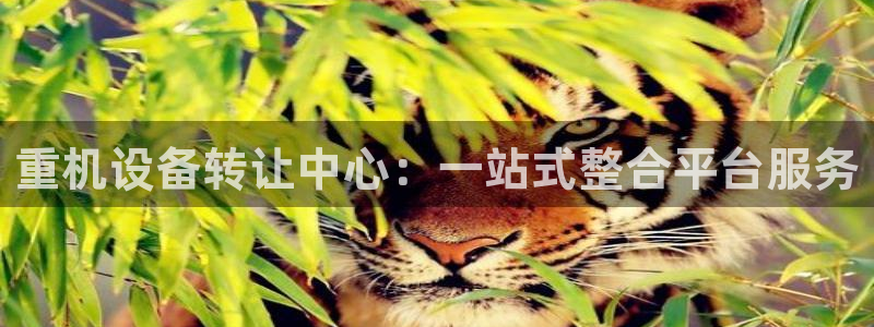 顺盈娱乐直究7276O：重机设备转让中心：一站式整合平台服务