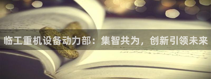 顺盈2娱乐注册问一问：临工重机设备动力部：集智共为，创新引领