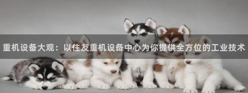 顺盈娱乐登录地址在哪儿：重机设备大观：以住友重机设备中心为你
