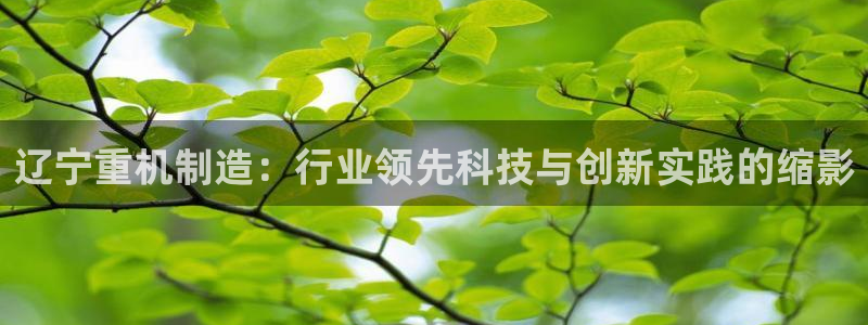 顺盈娱乐下载安装官方版：辽宁重机制造：行业领先科技与创新实践