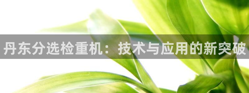 顺盈娱乐招商天原判官333OO：丹东分选检重机：技术与应用的