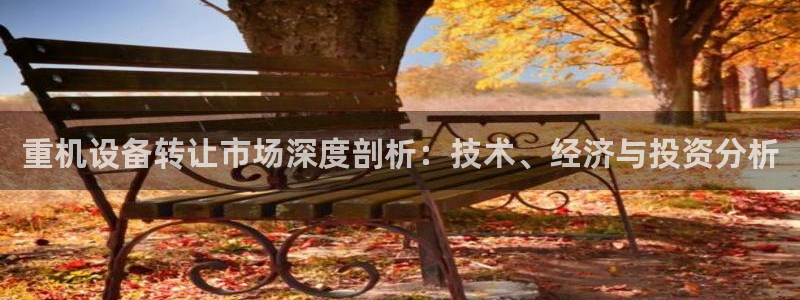顺盈2娱乐平台：重机设备转让市场深度剖析：技术、经济与投资分