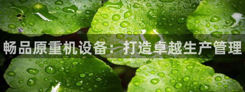顺盈娱乐下载安装官方版：畅品原重机设备：打造卓越生产管理