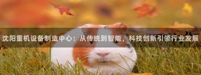 顺盈有什么娱乐场所